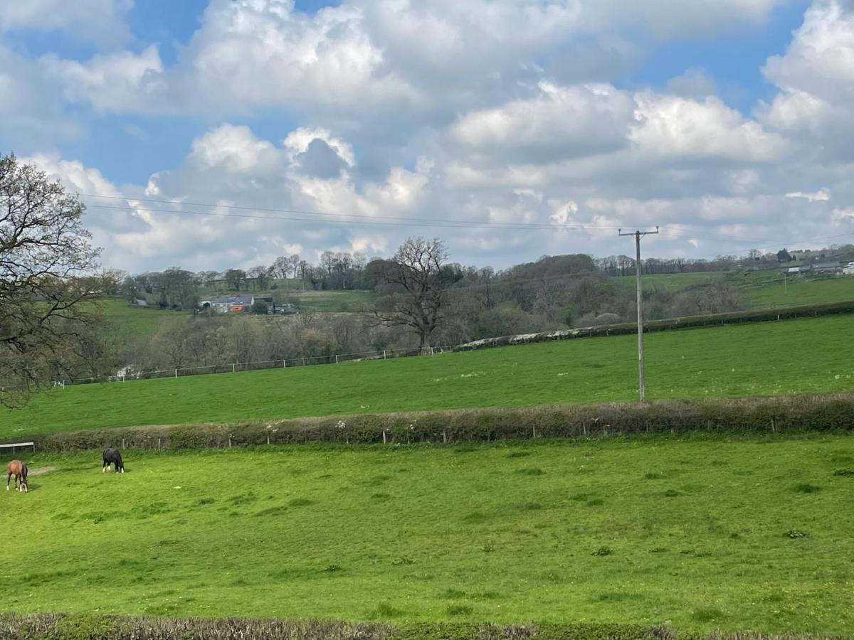 The Cottage Inn Llandeilo Esterno foto